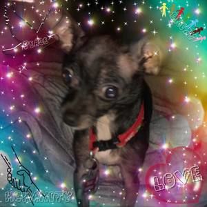 Meet your Posher, Kelli